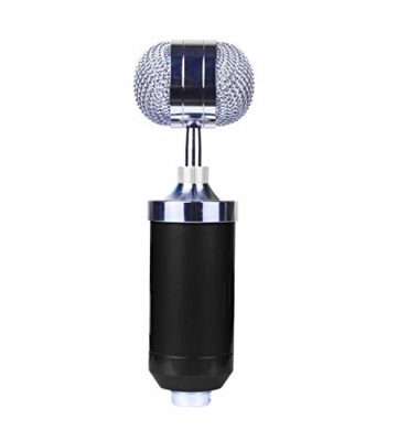 Aeoss Professional Condenser Microphone Sound Studio Recording Dynamic Microphone For Studio Studies Broadcast Recording Studios (BLACK)
