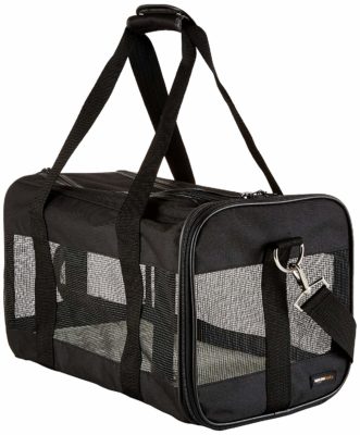 Amazon Basics Airline Travel Carrier Bag