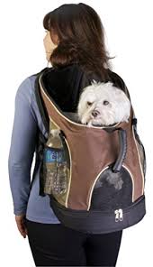 Backpack pet carrier