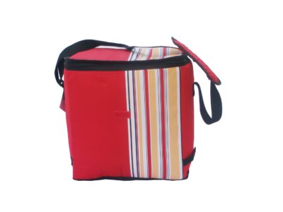 California Innovations Insulated Travel Chiller Cooler Bag 