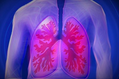 Can Human Lungs Repair Themselves 1