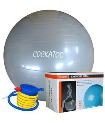 Cockatoo Anti-burst gym ball (55cm to 95cm) with foot pump, exercise ball