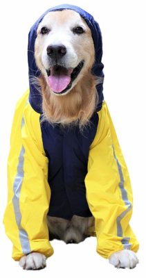 Doxters Full Coverage Dog Raincoat