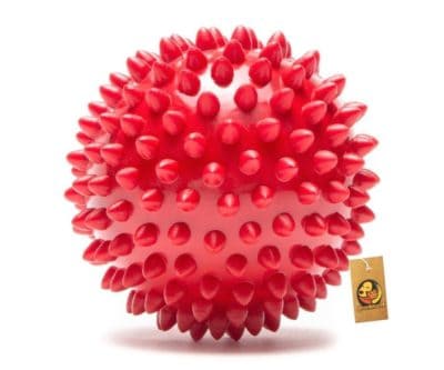 Foodie Puppies Rubber Stud Spike Ball