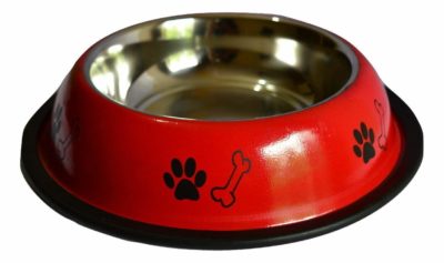 Foodie Puppies Stainless Steel Dog Food Bowl
