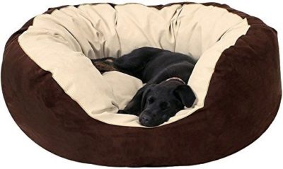 BEST DOG BEDS FOR PUPPY