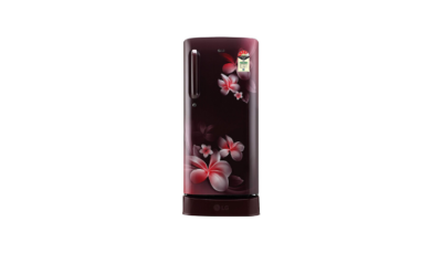 LG 190L 4 Star Single Door Refrigerator GL D201ASPX.ASPZEBN Review