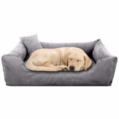 BEST COMFORTABLE DOG BEDS