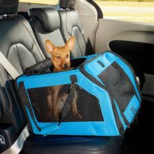 Pet car seat carrier