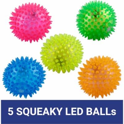 PetSutra LED Squeaky Ball Toy