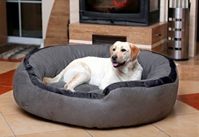 BEST DOG BEDS IN INDIA