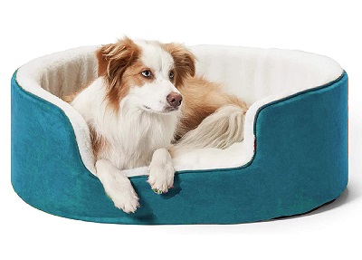 BEST SMALL DOG BED