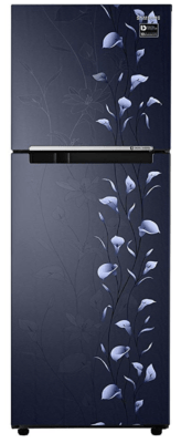 Samsung 253 L 2 Star Double Door Refrigerator