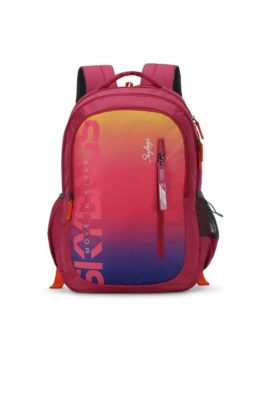 Skybags Figo Plus Casual Backpack 