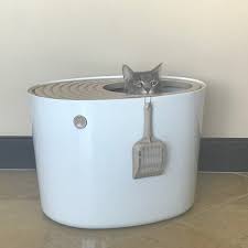 Top entry cat litter box