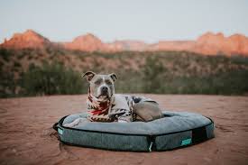 Travel Dog Bed