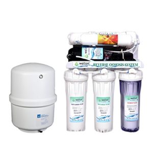 Wellon 10 Litre RO and UV Water Purifier