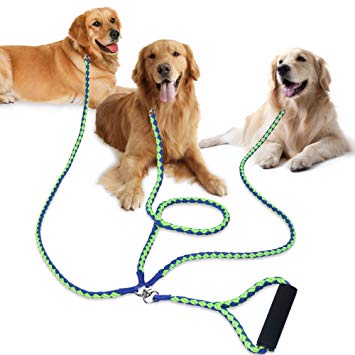 multiple leash