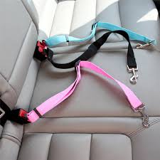 seat belt safety leash